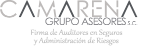 Camarena Grupo Asesores